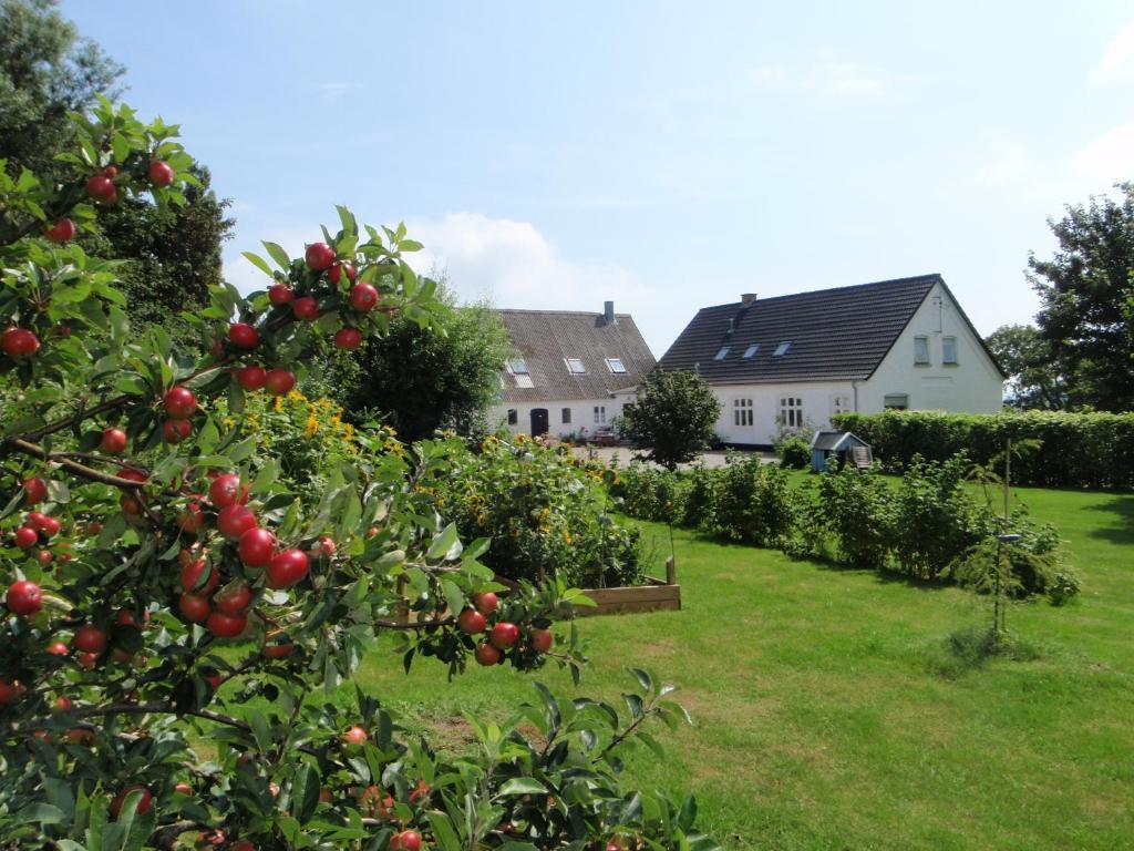 Ruhetgaard Holiday Apartment Ærøskøbing Kamer foto